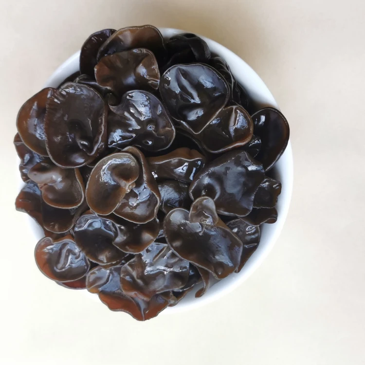 Fresh White-backed Black Fungus/Agaric for Mushroom Buyers