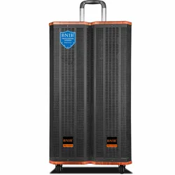 2022 New Arrivals Active Speaker Karaoke Speaker Outdoor Speaker Wooden Sound System ODM OEM