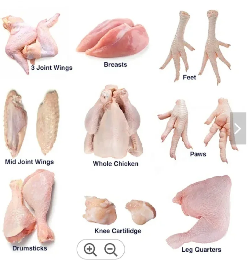 Wholesale custom private label Chicken breast fillet food 35cm carton 15kg 5days human consumption frozen chicken feet