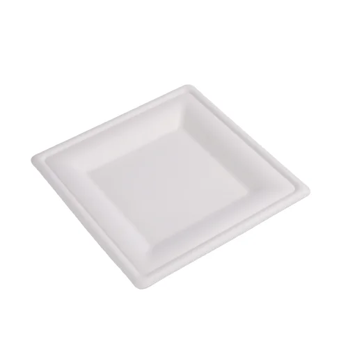 10 inch Factory Square Biodegradable Disposable Bagasse Tableware  Paper Dinner Plates