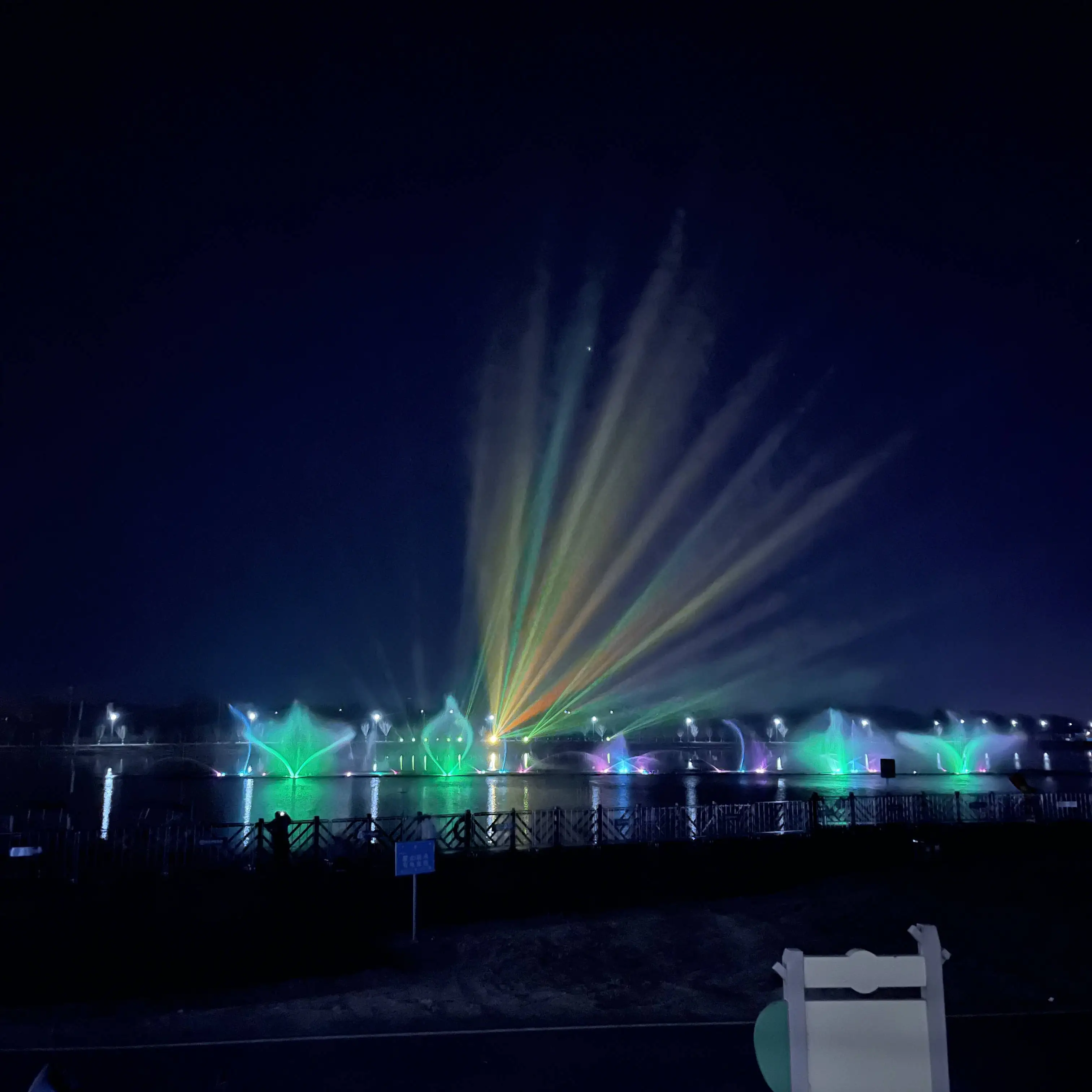 Highly Automated Dolphin Outdoor Water Laminar Flow Garden Animal Digital Water Curtain