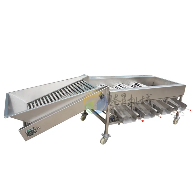 Fruit vegetable sorting machine/potato lemon orange sorter machine for sale