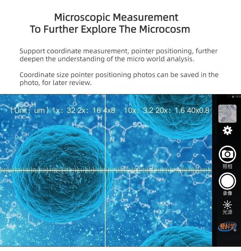 methyl blue microscope
