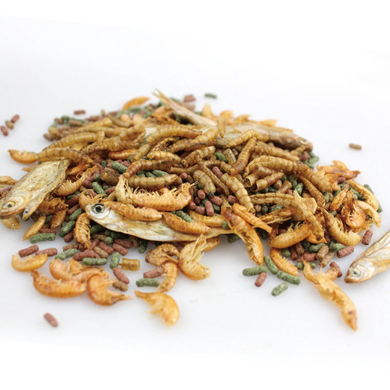 Hot Selling High Protein Nutrition Fresh water fish dried shrimp dried turtle food Newts  Frogs Lizard