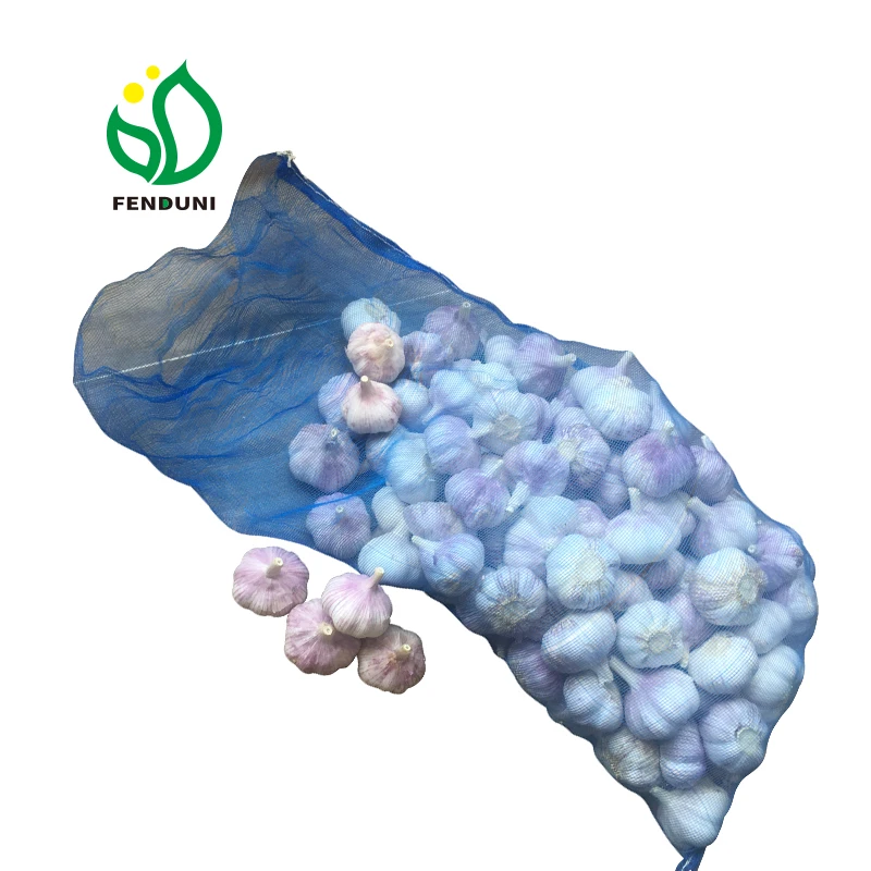 Loosely mesh bag 10kg/20kg 5.5cm-6.0cm ajo alho ail fresh garlic China garlic wholesaler