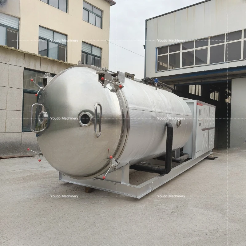 State-of-the-Art Freeze Drying Equipment in 5㎡ 10㎡ 20㎡ 30㎡ and 60㎡ for Efficient Food Processing and Preservation