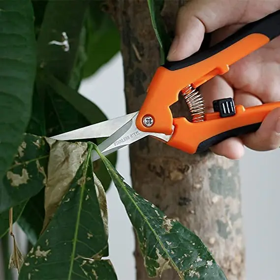 China Cheap  Flowers Herbs Buds Leaves Plant Trimming Scissors Bonsai Pruning Shears