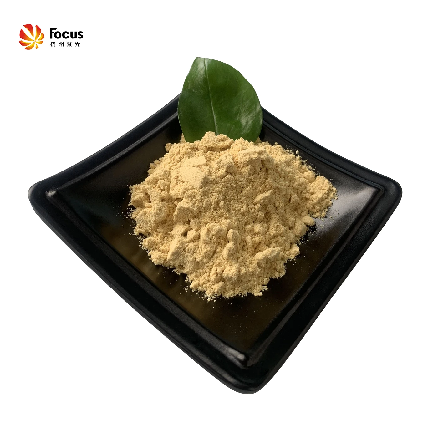 High Quality Soybean Soya Soy Lecithin Powder CAS 8030-76-0