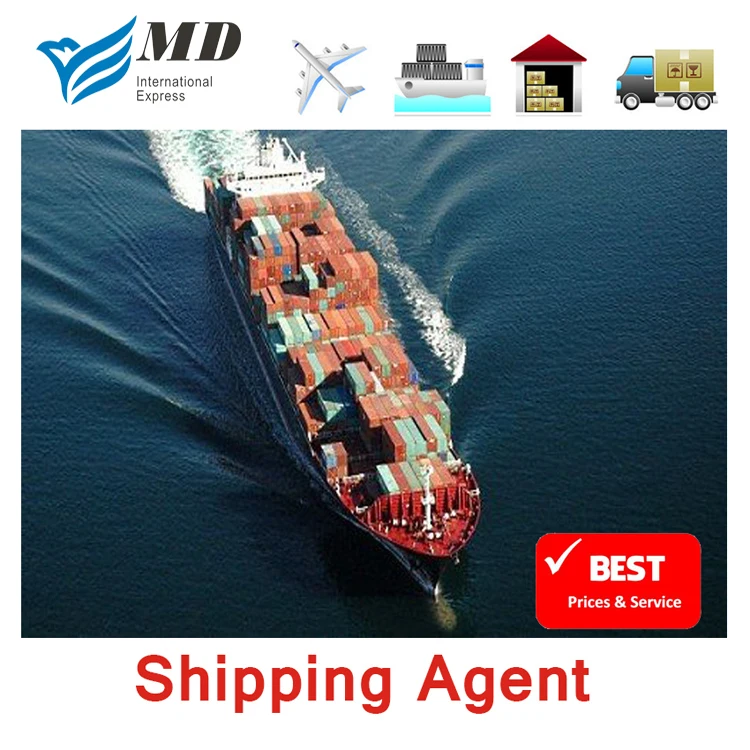 Meidi Door To Door Sea Shipping China Ship To Qatar By Chinese Shipping Agent To Qatar Freight Forwarder DDP