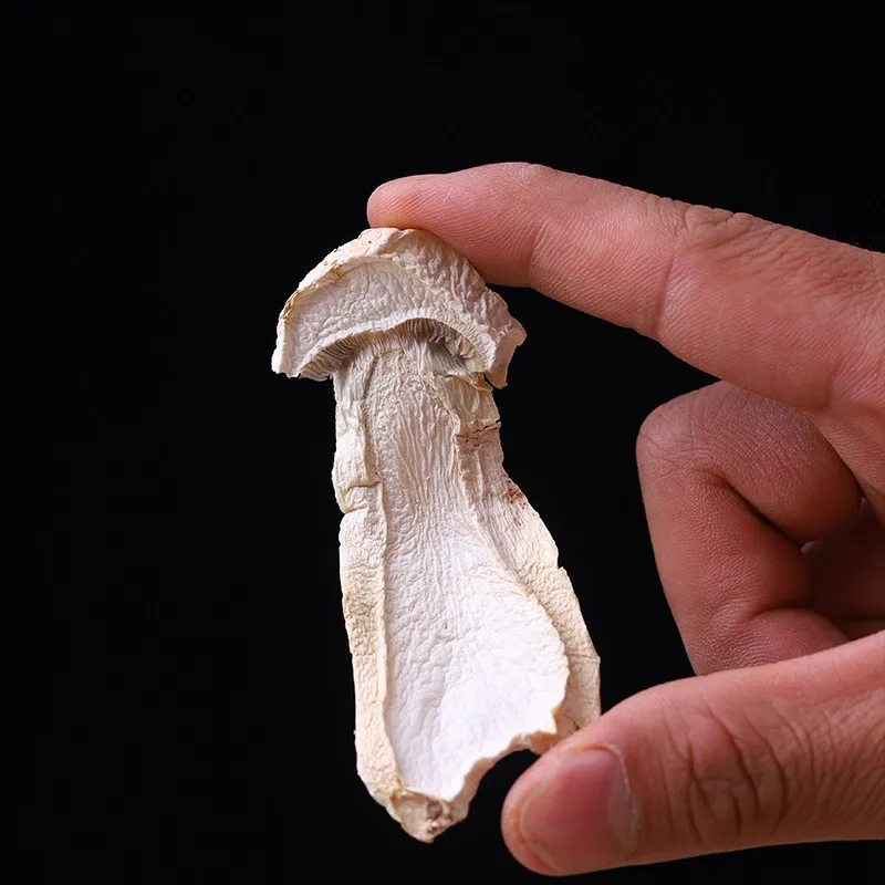 
Hot sale Sing Organic Mushrooms Food Dried Fungus Tricholoma Matsutake 