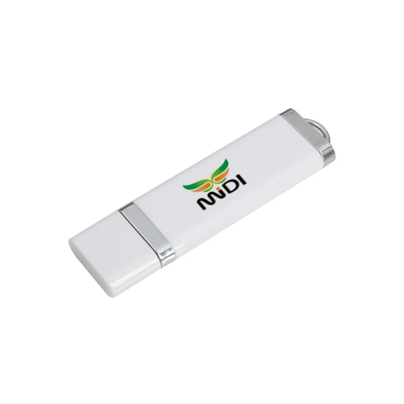 Wholesale Plastic OEM Pen drive 4G cheap usb stick 16gb key chain 2.0 flash disk 8GB 16GB 32GB 64GB 128GB 256GB 512GBUsb lighter