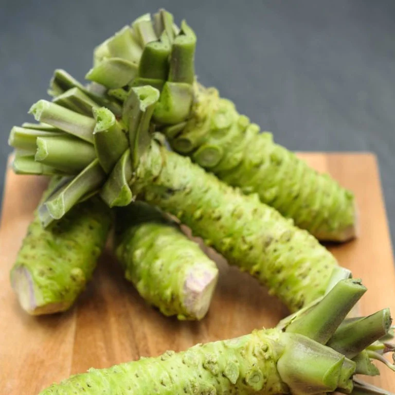 Прямая поставка с завода оптовая продажа 100% чистый порошок васаби настоящий