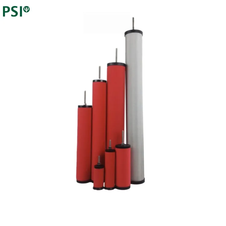 Replace Hankison filter element