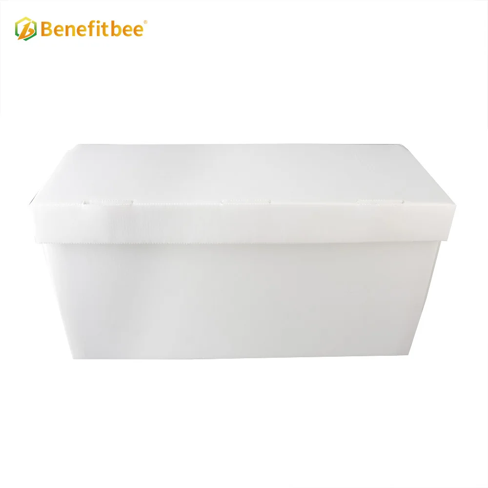 Beekeeping hive tools 5 frames nuc box plastic beehive