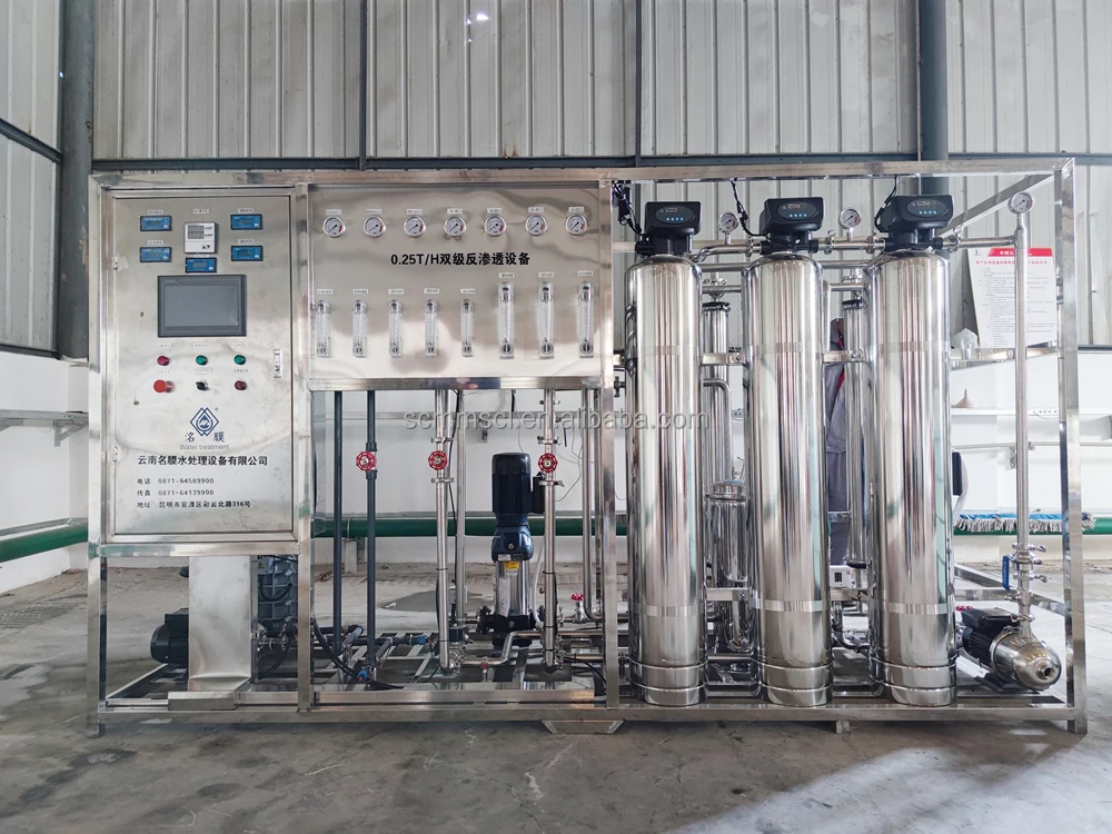 Ro plant 1000lph Ro planta purificadora de agua osmosis inversa water filter system