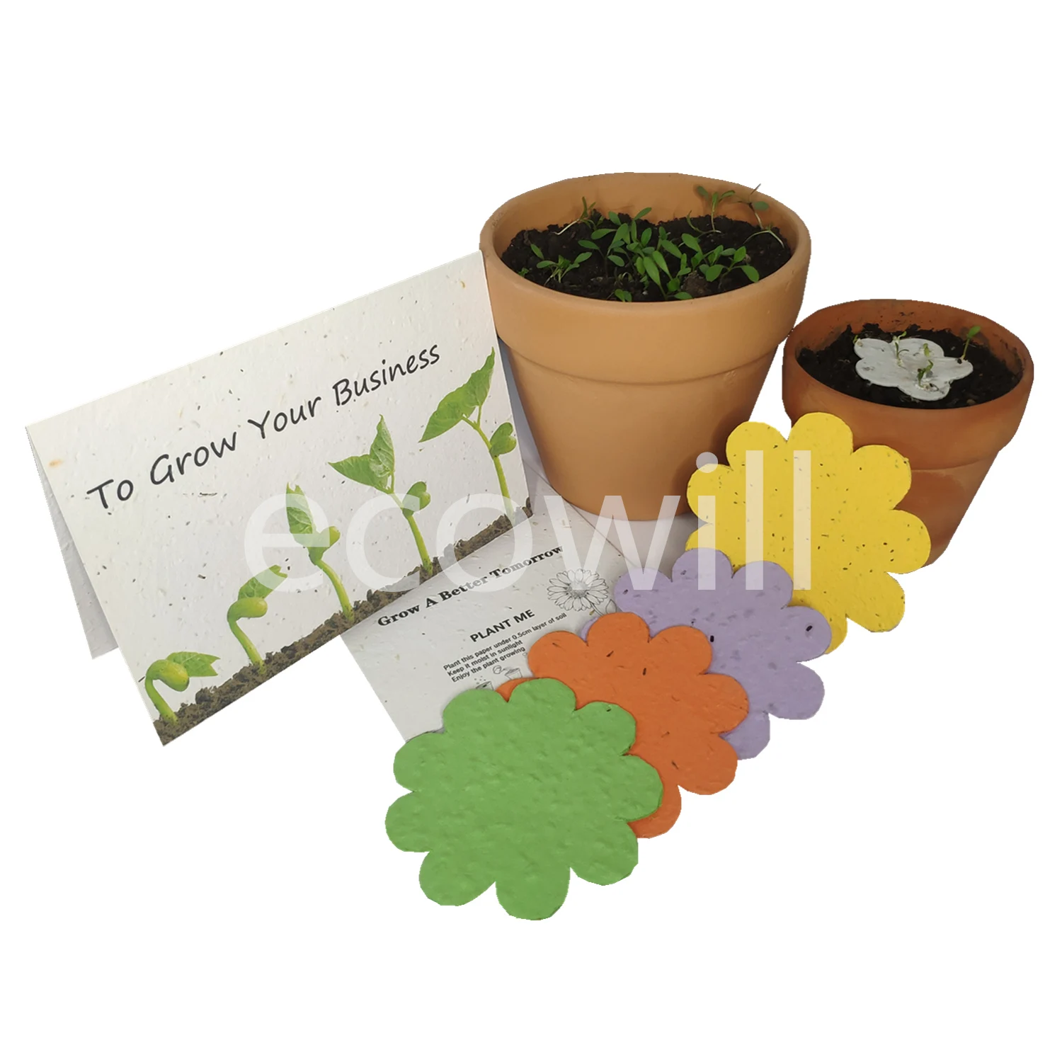 
Plant Me Growing Plantable Seed Paper Greeting Card with Botanical Herb Veggie Flower Seeds 