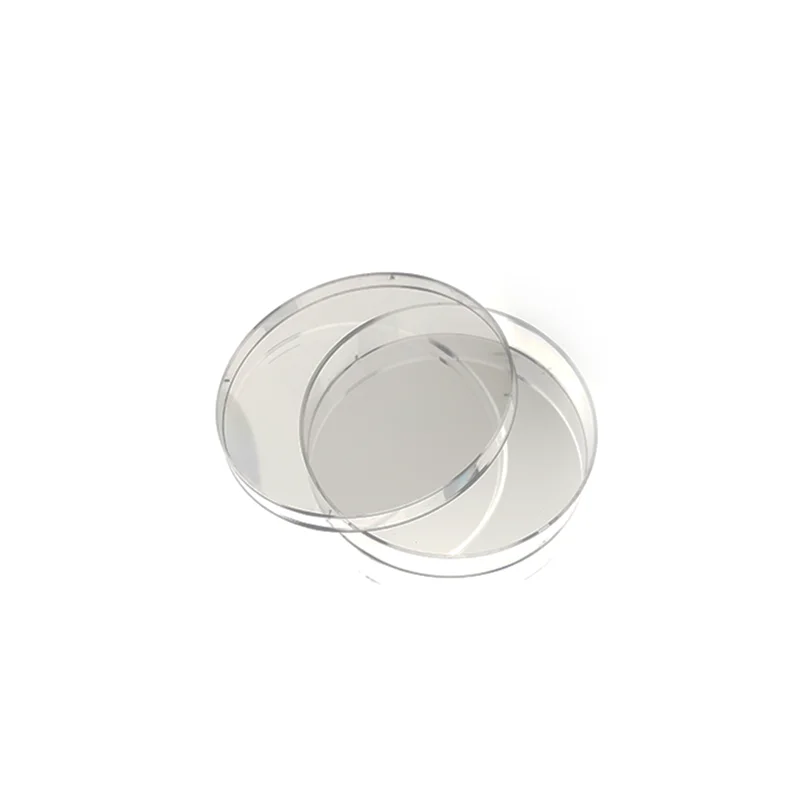 Durable Plastic Transparent 100mm Cell Culture Petri Dish for Lab