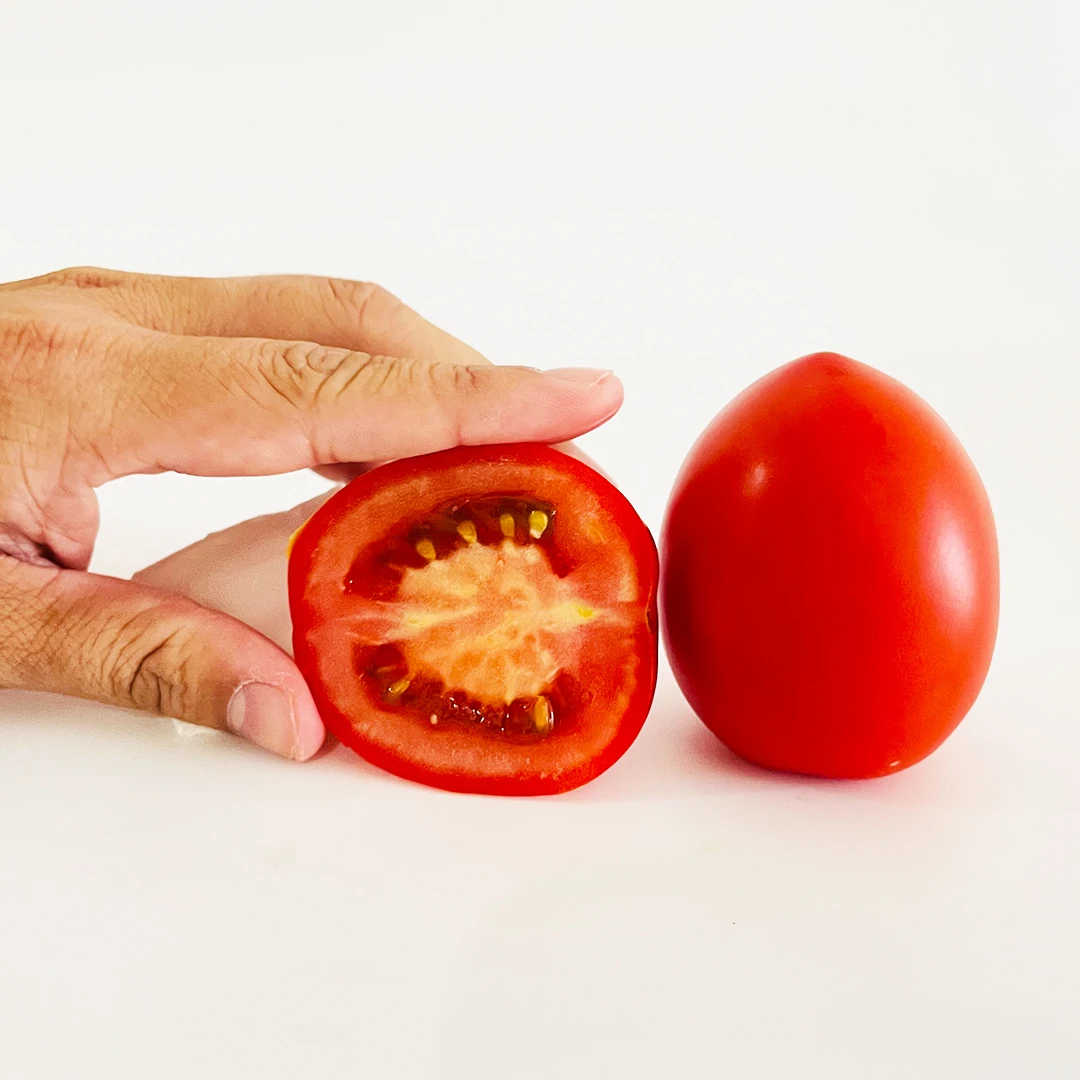 Fresh tomato from VIETNAM - Wholesale for tomato paste / ketchup tomato - Organic tomato can / tomato powder