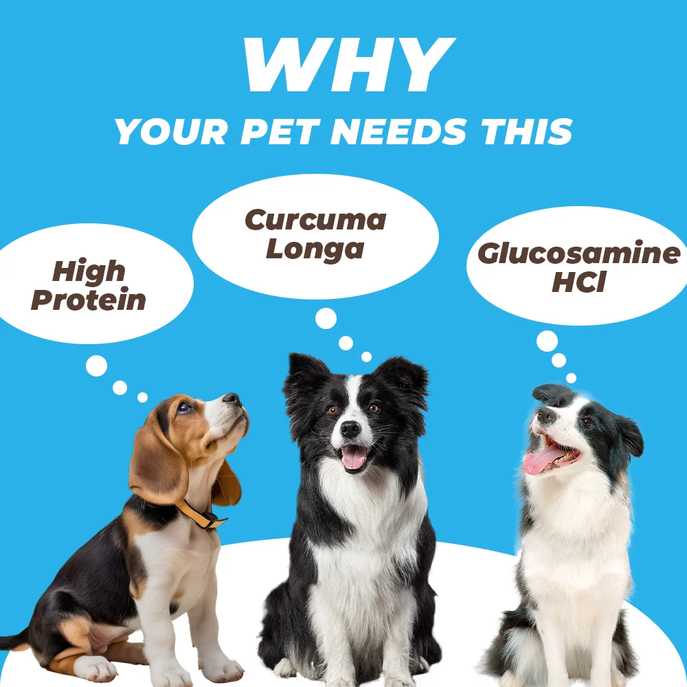 Dog Anal Gland Soft Chews Supports Digestive Enzymes With Pumpkin & Probiotic For Dogs supplement