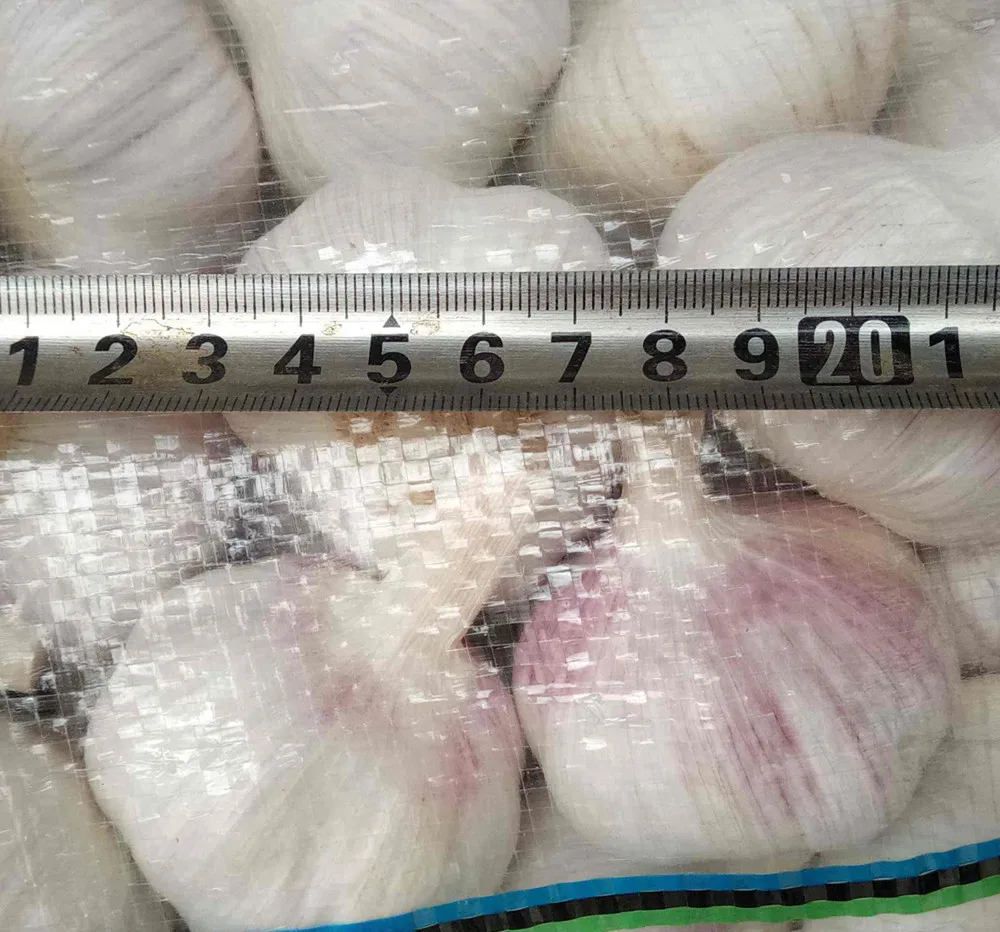 5,0 см 2023 свежий чеснок