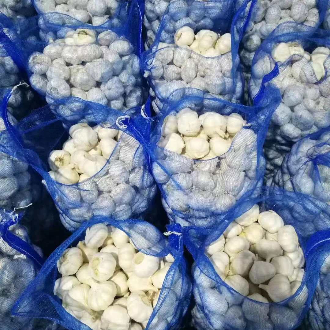 garlic importfresh chinese 3p pure white garlic