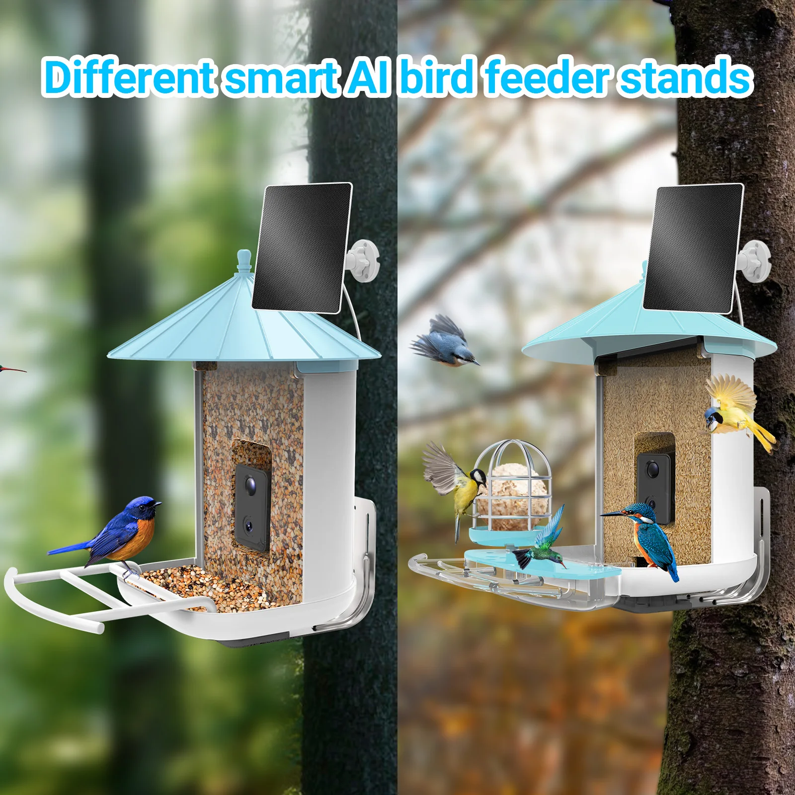 AI Recognize Bird Species Outdoor Wildlife Hummingbird Wifi Camera Capture Pictures Photos Video Smart Bird Feeder for Garden