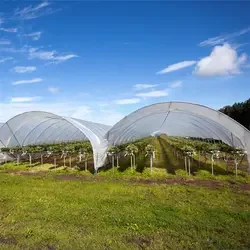 Sainpoly Heavy commercial greenhouse 4 season For Agricultural Blueberry Strawberry Farming Tunnel Greenhouse