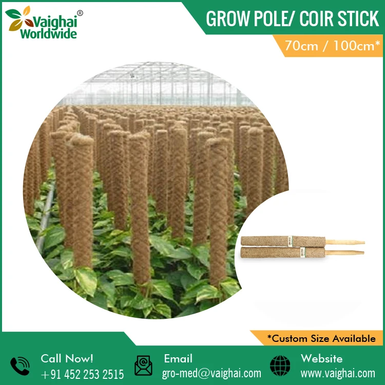 Best Quality Natural Grow Poles/ Coconut Coir Stick for Plant Support