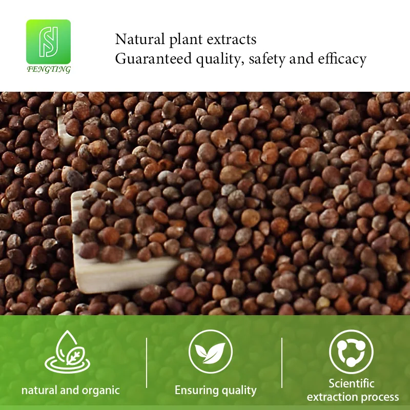 Wholesale price Natural pure perilla seed oil for essential oil