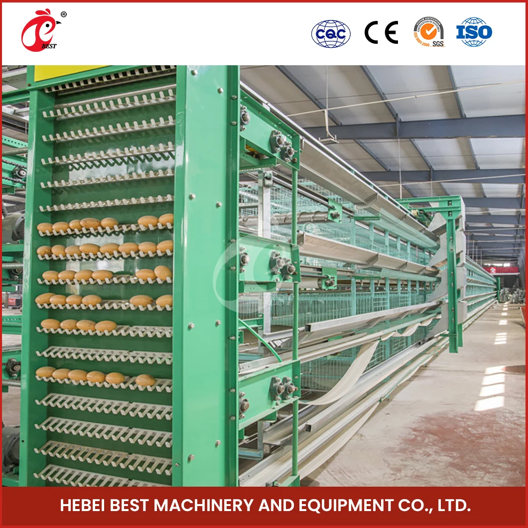 Layer Cage Fabricators China Ordinary Type Laying Coop Sample Available Large Laying Cages For Free Range Chickens