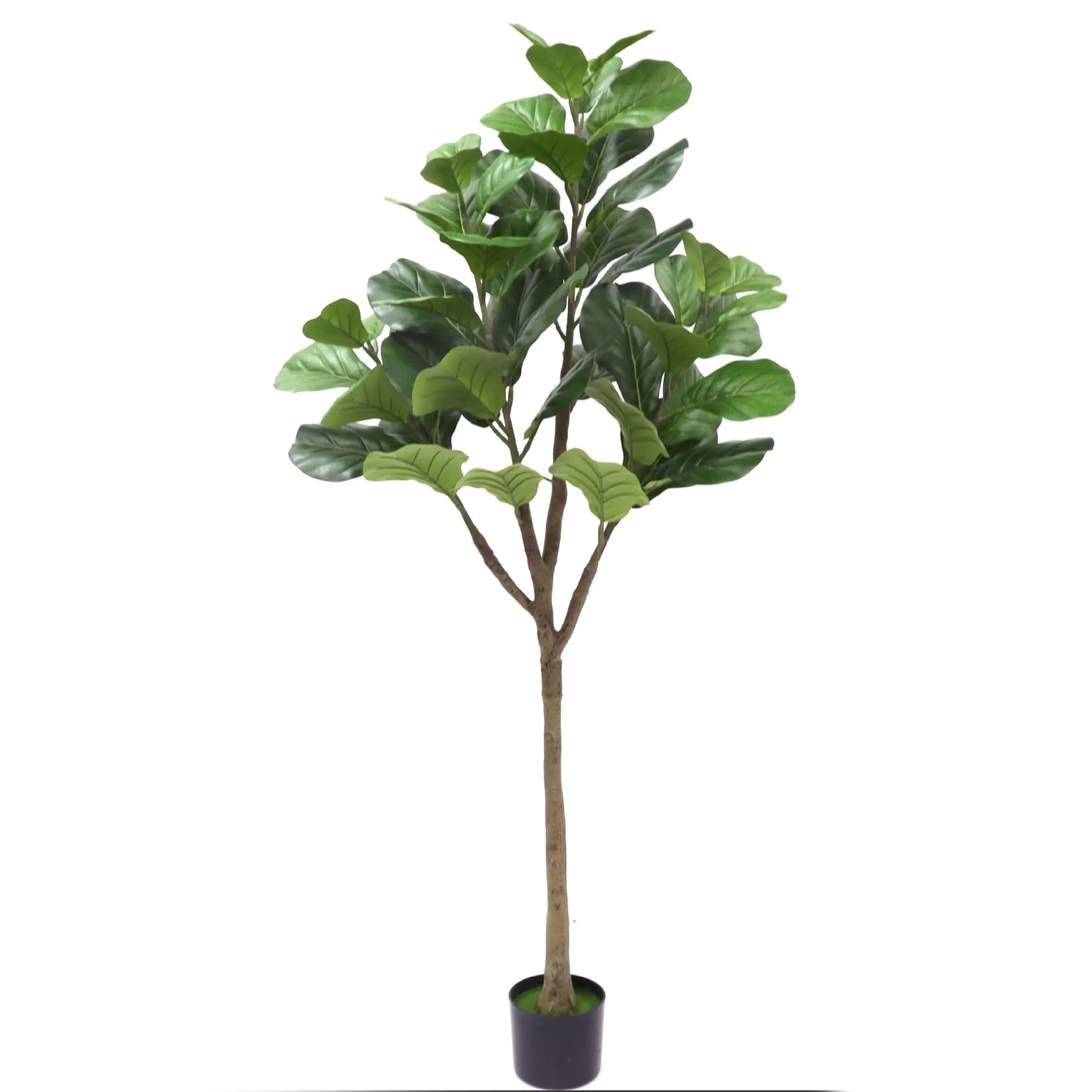 DKB2024 HOT SALE   Qinye Ficus Artificial Green Plant Landscape Ornament plant Artificial tree