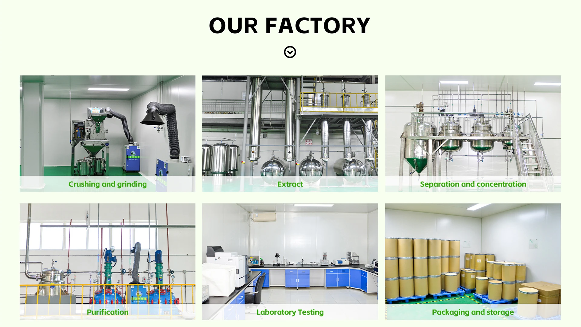 Supply horny goat weed extract epimedium extract natural plant epimedium extract 10icariin epimedium powder