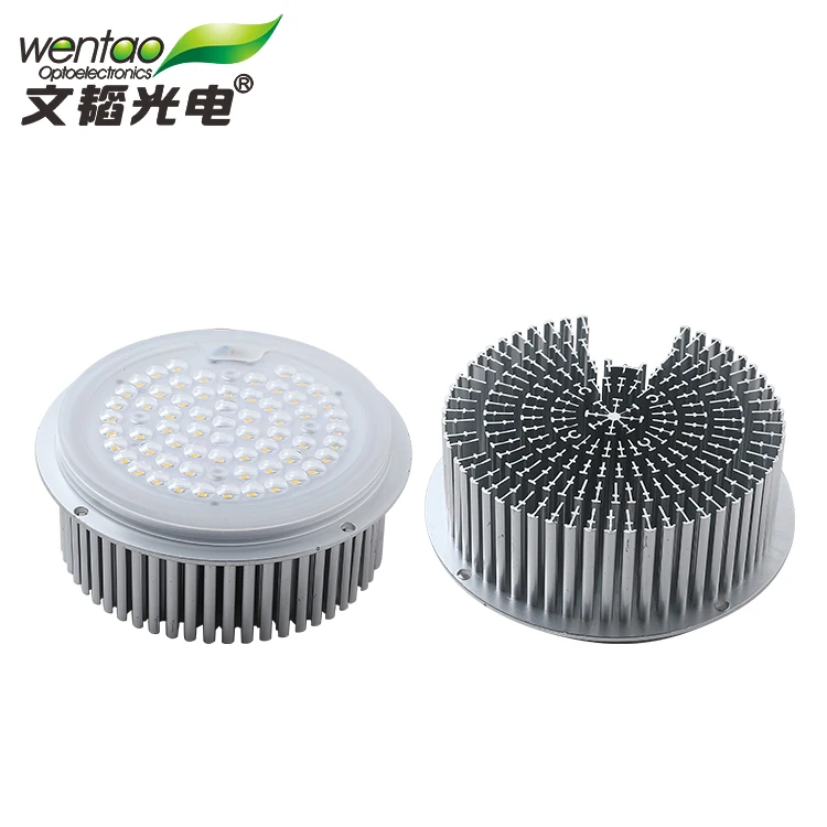 wholesale price 50W 60W  Aluminum LED Module for garden light and landscape lamp