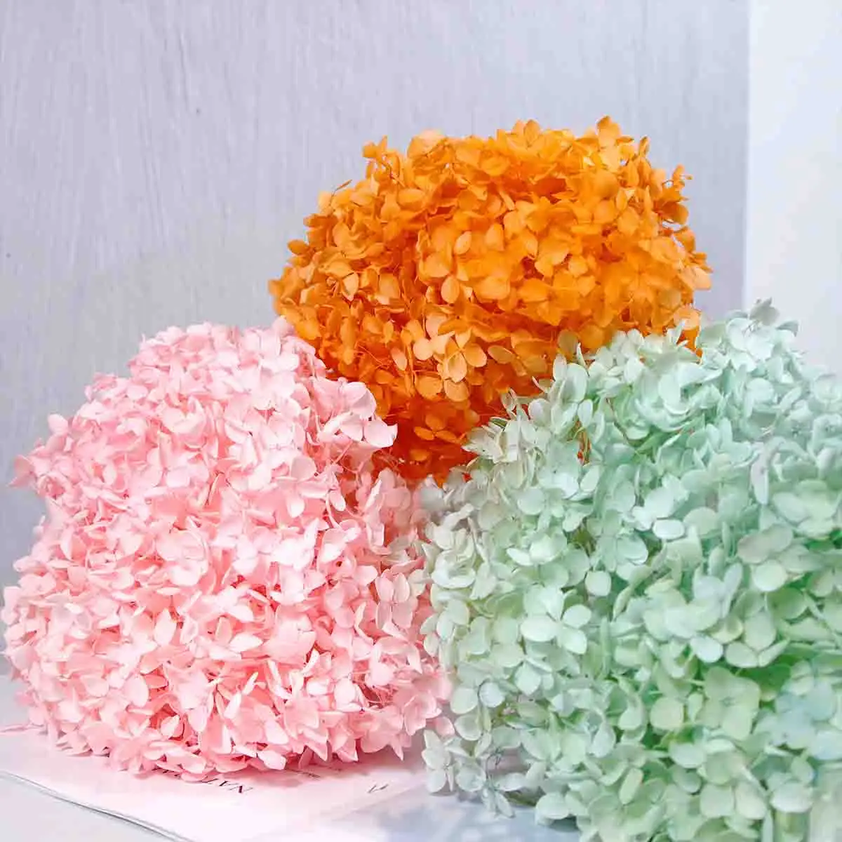 Оптовая продажа вечных цветов гортензии: мелкий лист Анна Гортензия для элегантных подарочных букетов и цветочных украшений