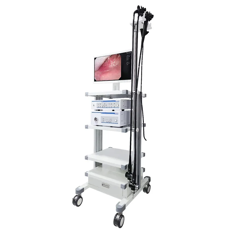 OED200 китайский медицинский Операционная эндоскоп камера система видео гастроскоп и