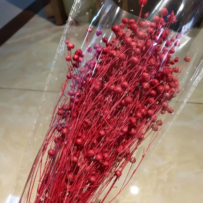 DIY Flower Arrangements Wedding Home Flower Decor Real Natural Dried Preserved Flax  Beans jequirity beans flowers