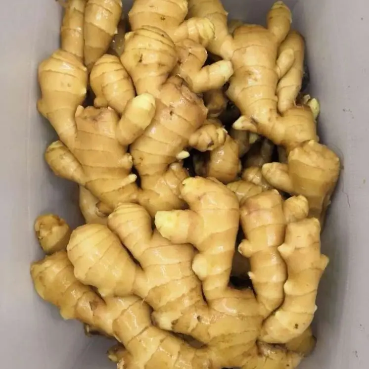 
Hot Sale Organic Fresh Ginger price High Quality Fresh Ginger 