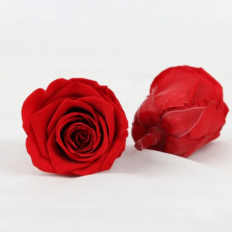 Factory supply A grade stabilized eternity rose flower head white color 4-5cm preserved roses head from KunMing