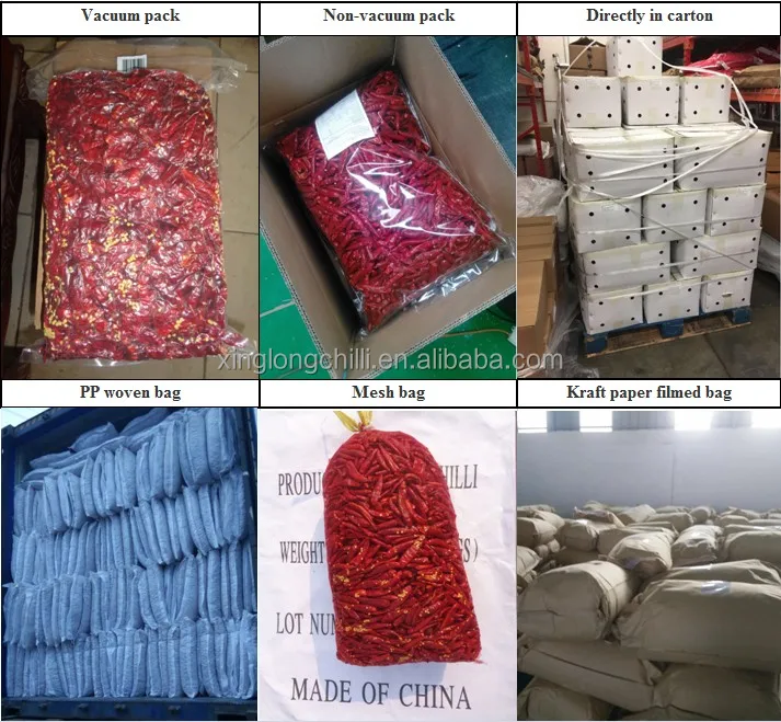 hot chili  dried by sun