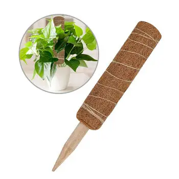 Garden Decorative Set Classic Eco Friendly Wooden Coconut Stick Coco Pole for Climbing Plants