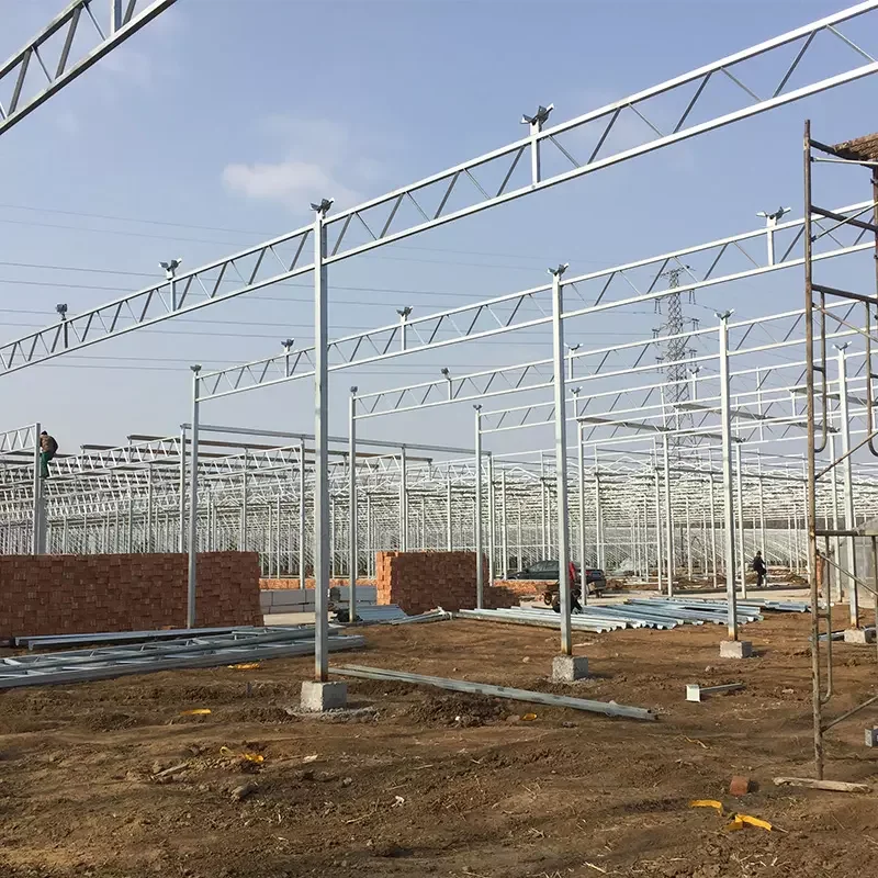 Полностью автоматическая теплица из поликарбоната с гидропонной системой