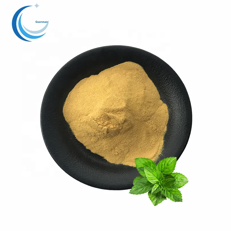 Mint extract powder High Quality peppermint extract powder