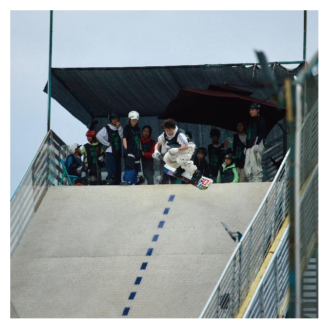 Chinese factory cheap price high quality engineering plastics artificial dry ski slope