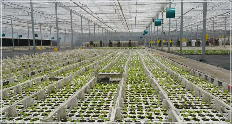 Auto climate control commercial greenhouse for sale