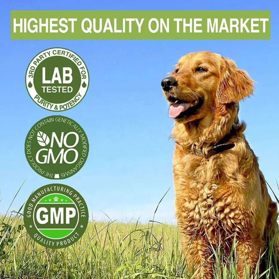 
12 Year Factory Free Sample Custom Label Organic Natural Extract hemp cbd Oil Vegetable Oil King 