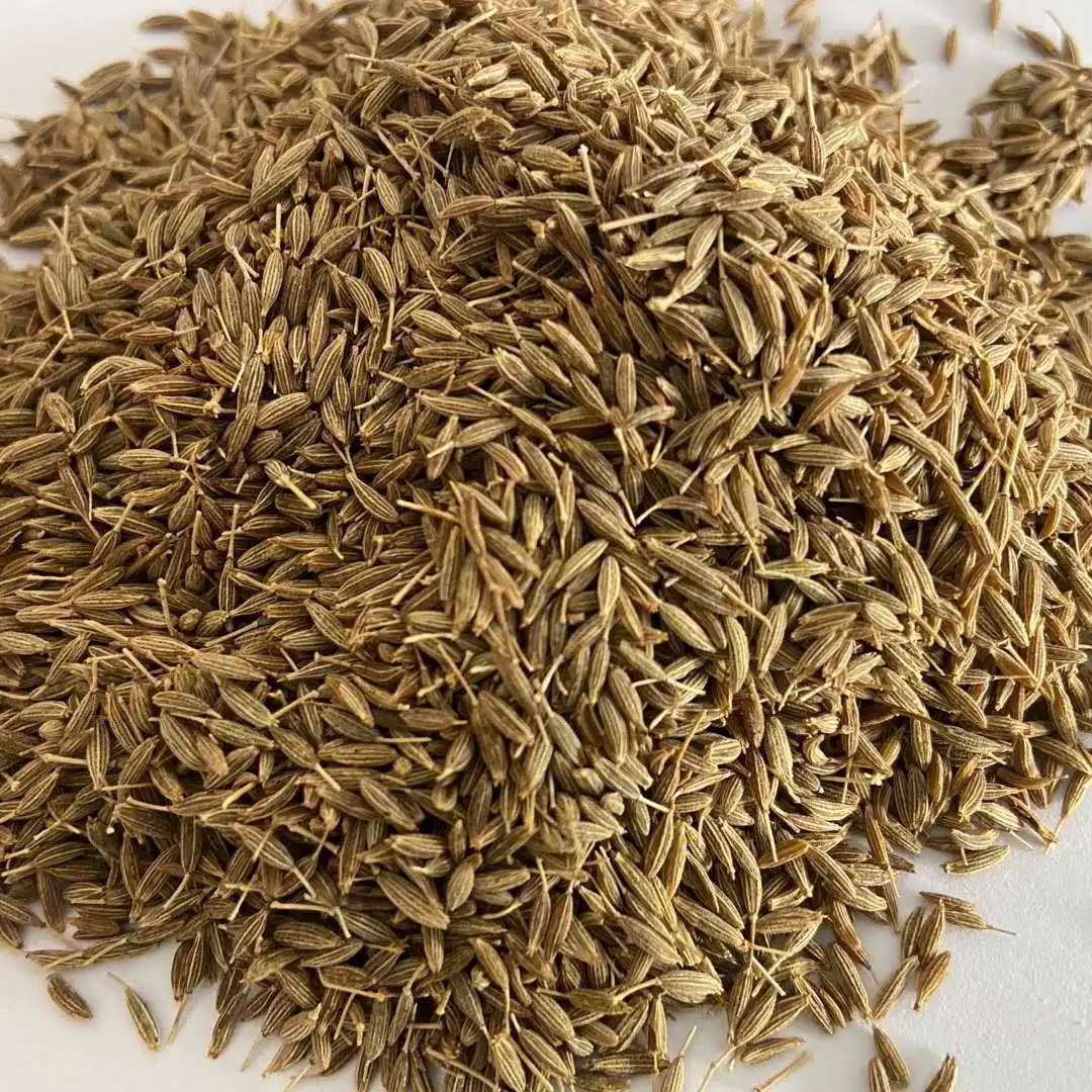 Wholesale Non-GMO High Quality Single Spice Herb Cumin Seeds Curry Flavor Of India Chili Kitchen Sauce Halal Barbeque Grill