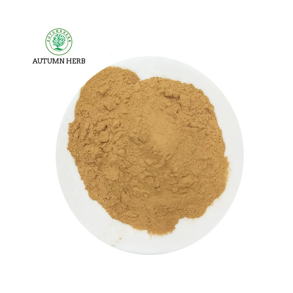 Herbal 20% Osthole Supplements Fructus Cnidii Extract Osthole