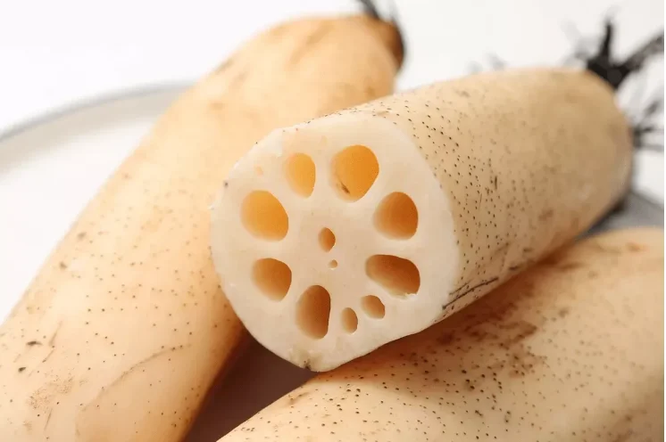 Новый продукт с китайской спецификой высокое питание вкусный сухой чип