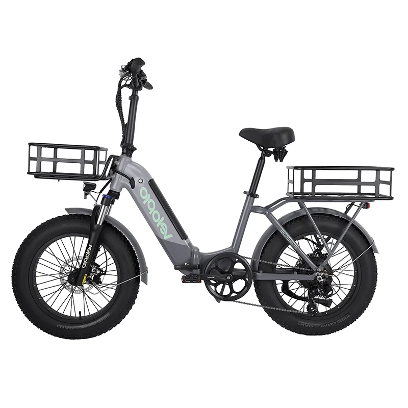 China factory OEM 750w powerful 20 inch 48V 20a lithium folding mountain ebike electric fat tire bike bicycle