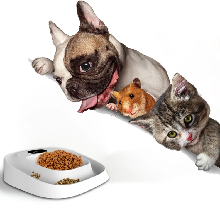 
pet food electric scale promotional pet food kitchen scale 